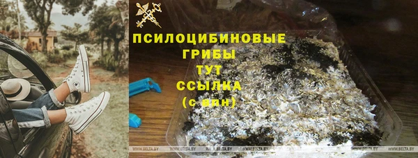 мяу мяу мука Богданович
