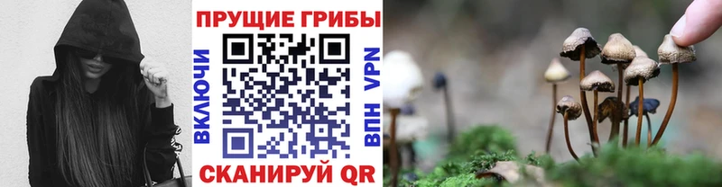 Псилоцибиновые грибы ЛСД Котельники