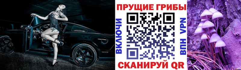 Псилоцибиновые грибы мухоморы  наркота  Котельники 